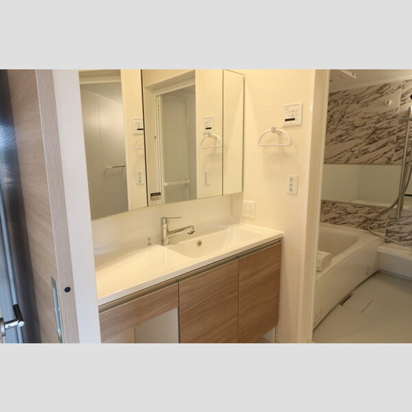 D-roomちはら台D 洗面所