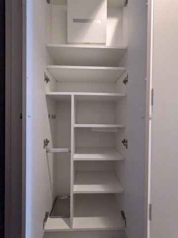 ハーモニーレジデンスグローバルキャピタル1101号室 収納