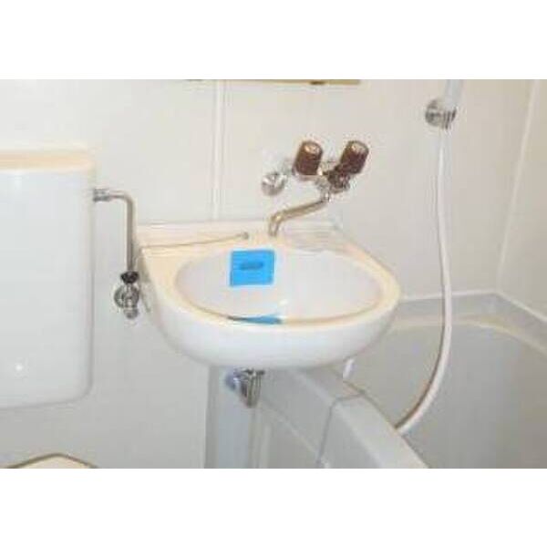 メゾン・ド・セニュール0404号室 洗面