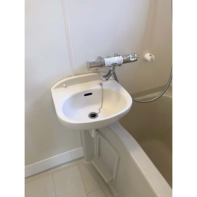 メゾン　カープ201号室 洗面