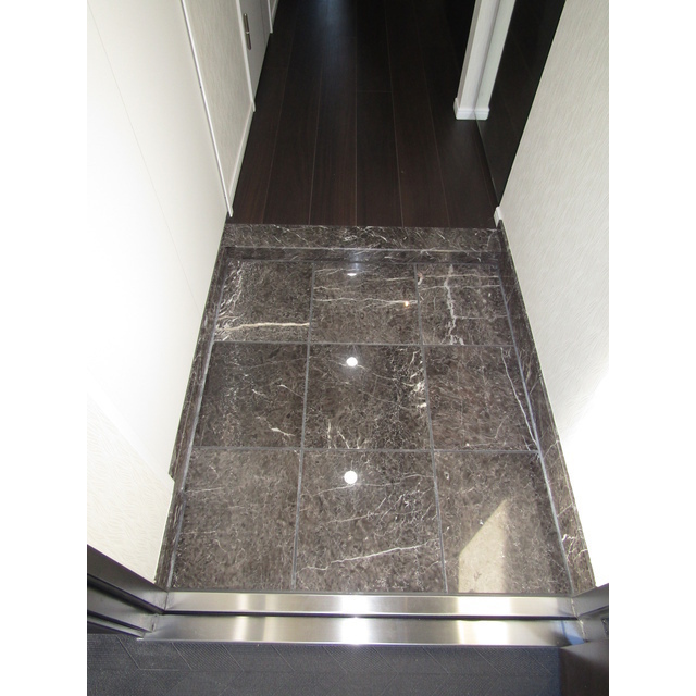 ロアール川崎新町3階 玄関