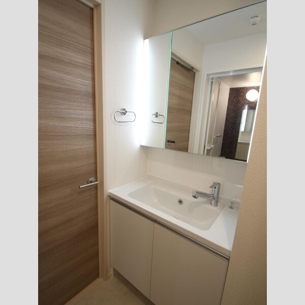 プレシャス富士見306号室 洗面