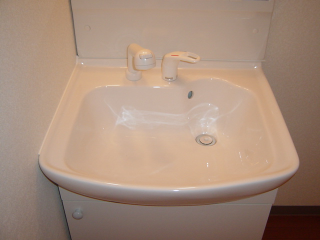 エルンテ・オーシモ201号室 洗面