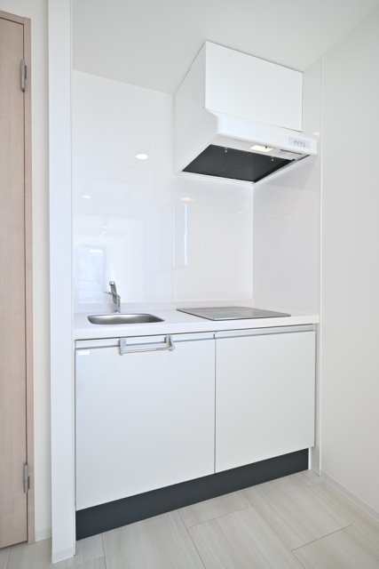 Ｌｕｐｉｎｕｓ目白台5階 キッチン