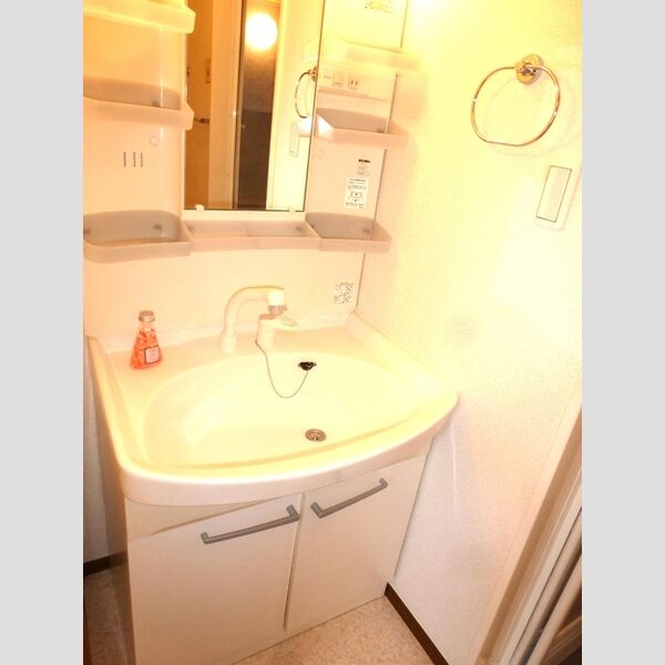 オーククレスト　Ⅰ/Ⅱ/Ⅲ/Ⅳ/Ⅴ/ⅥⅥ101号室 洗面