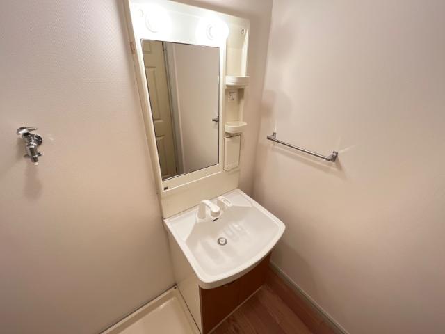 プロニティー・ヒルズ 洗髪洗面化粧台