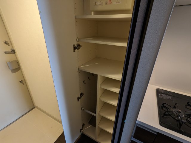 ケーディーエックスレジデンス豊洲431号室 収納