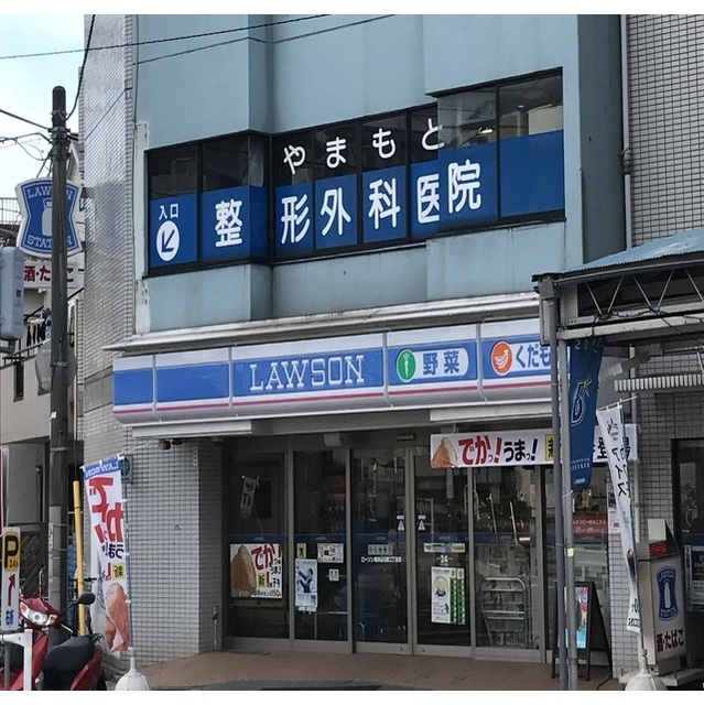 やまてライフ 周辺