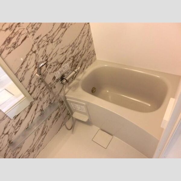 フリージア ヒルズ202号室 浴室