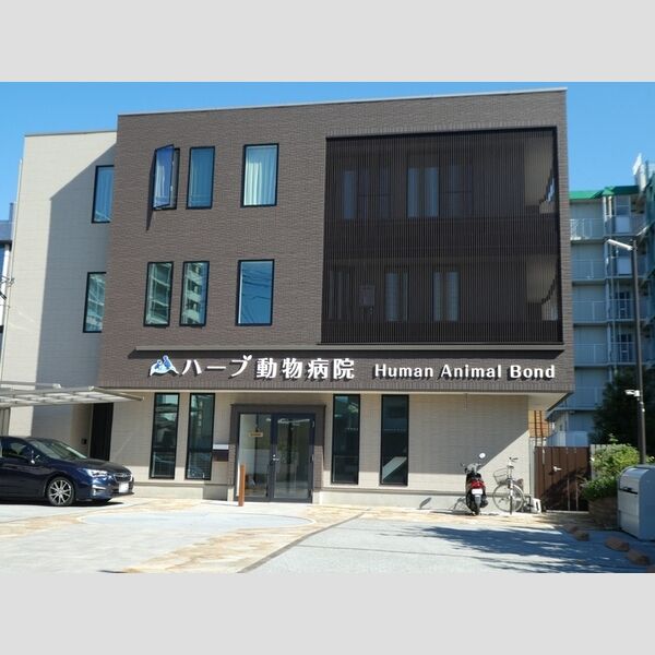 fleuve202号室 ハーブ動物病院　350m