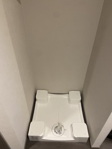 GENOVIA学芸大学0208号室 洗濯機置場