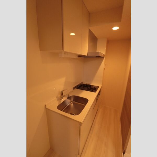 カーサしらたま システムキッチン