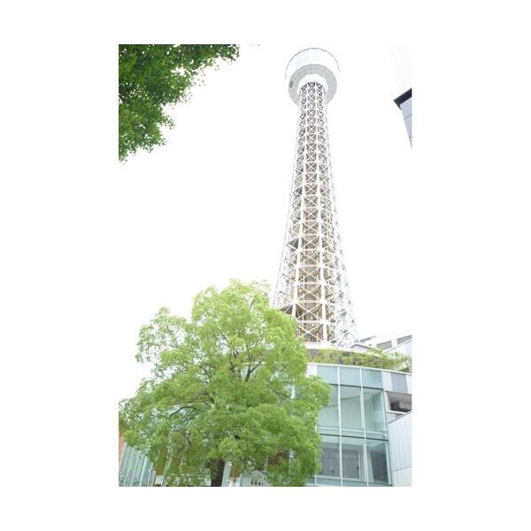 グランブリエ横濱山下公園302 周辺