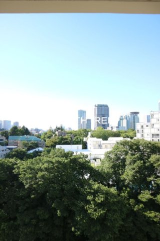 パレステュディオ六本木12階 グリーンが広がる眺望