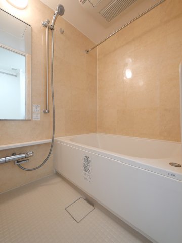 オーパスレジデンス中板橋2階 同建物別部屋の参考画像