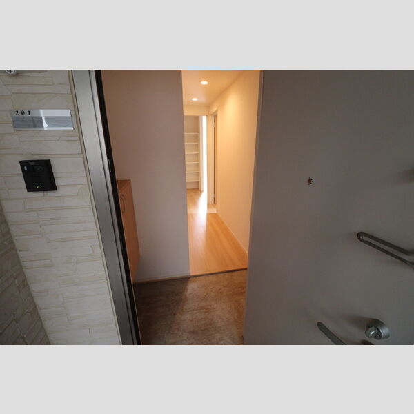 新川崎ヴィラージュA201号室 玄関