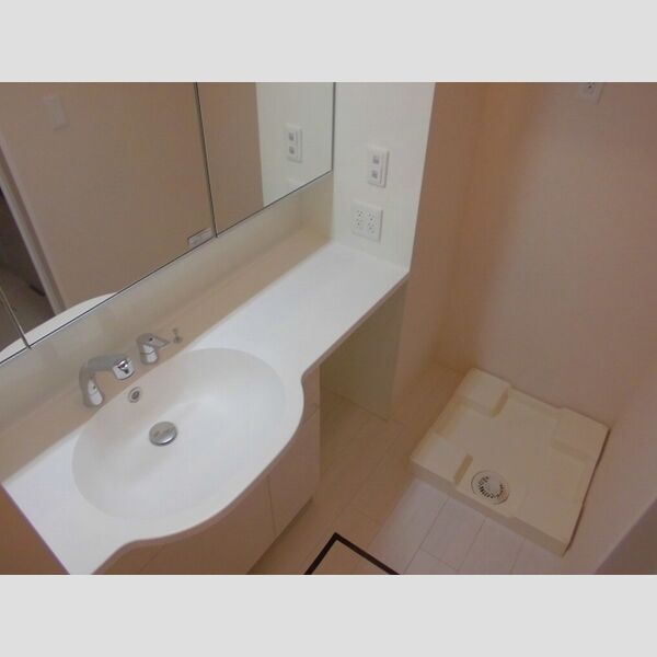 グランド　パレス　オクド103号室 洗面