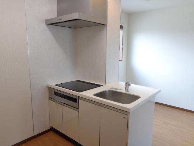 グリューネ　ハウス203号室 キッチン