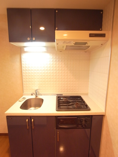 パレステュディオ新宿パークサイド8階 同タイプ別住戸写真となります。現況と異なる場合がございます。