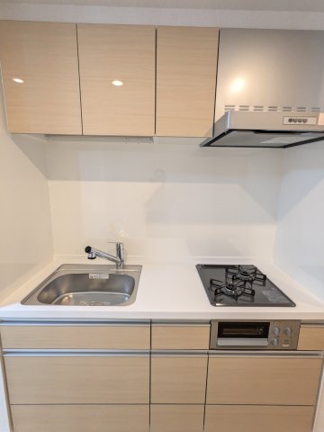 ソラシアレジデンス学芸大学Ⅱ0105号室 キッチン