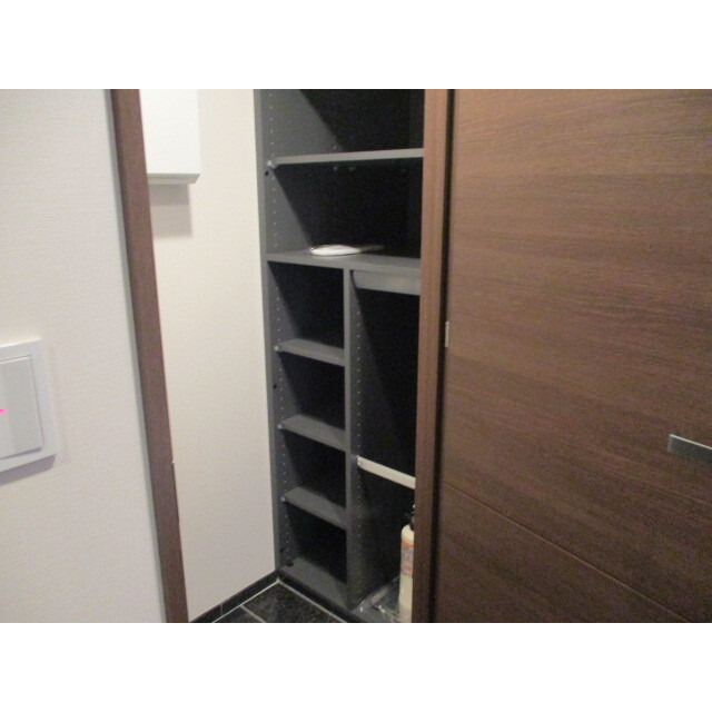 ブリリア・ザ・タワー東京八重洲アベニュー 収納