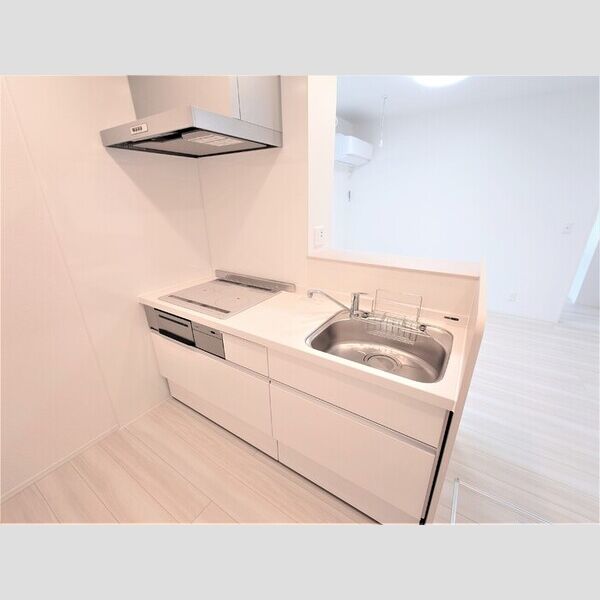 メゾン　ド　カルマン101号室 システムキッチン