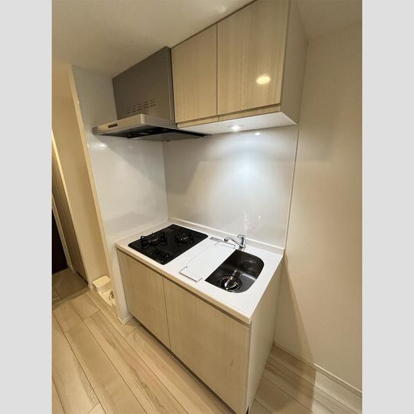 S-RESIDENCE板橋大山304号室 キッチン