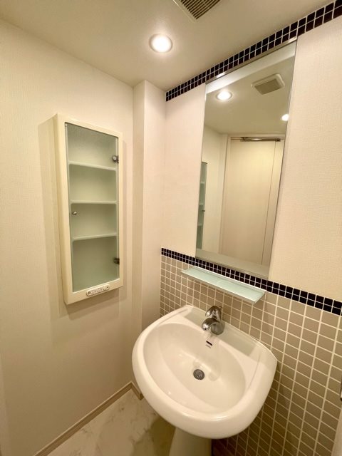 レジディア九段下12階 洗面