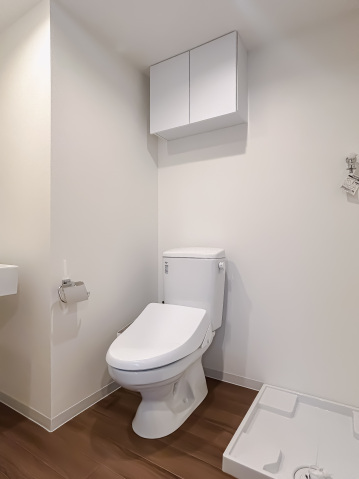 スカイラシクラス平和台103号室 トイレ