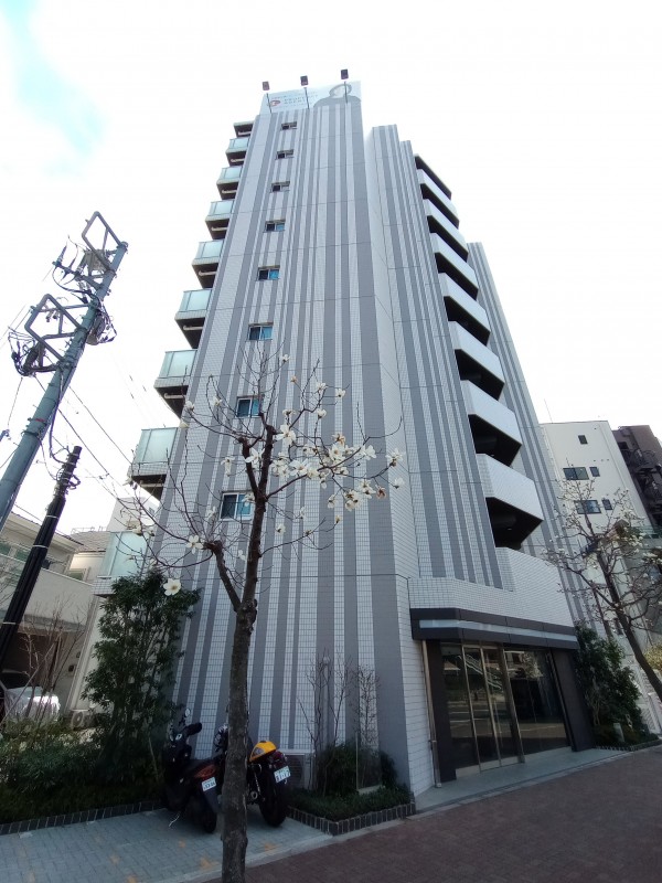 クレイシア新宿中落合4階 外観