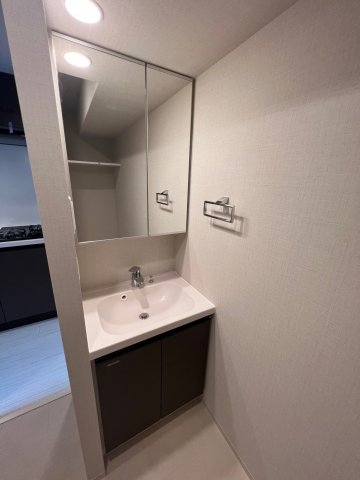 DIPS東十条駅前RESIDENCE 洗面
