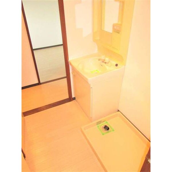 リバティー小泉0201号室 洗面