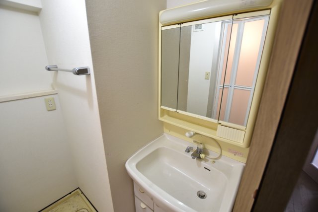 セザール池袋西301号室 洗面