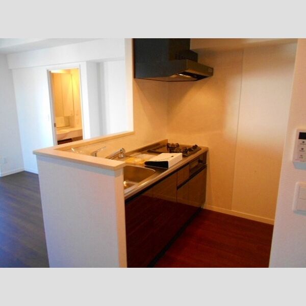 フェリス　コート0810号室 システムキッチン