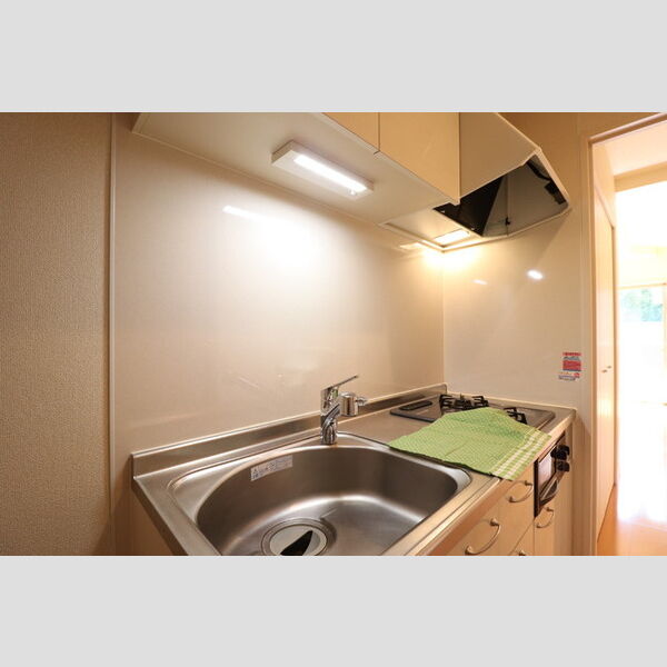 カーサ フェリーチェ 柴又106号室 システムキッチン