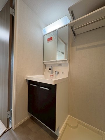 DIPS西新井408号室 洗面