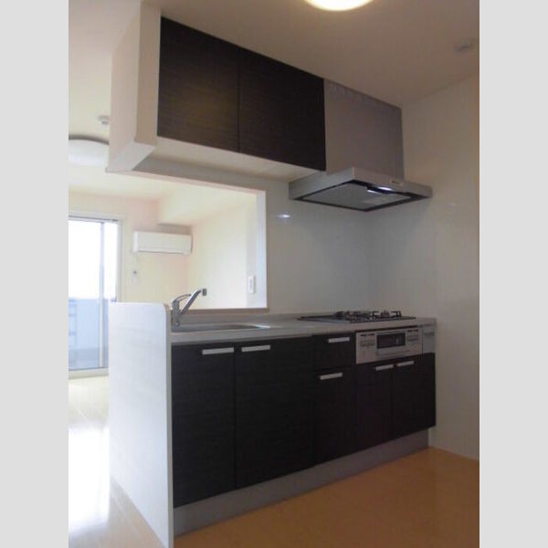 セントラルパーク201号室 対面システムキッチン