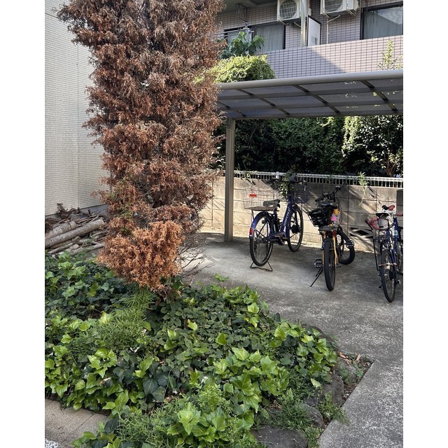 コンフォルト若宮106号室 2025年　駐輪場