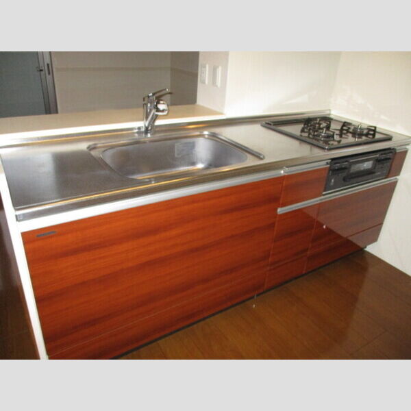 サンシャイン道野辺中央　A203号室 システムキッチン