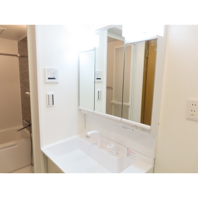 目時戸建て 洗面