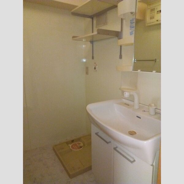 カメリア武蔵藤沢210号室 洗面所