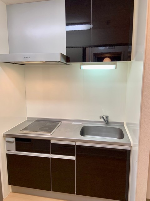 マレアガーデン新横浜Ｂ棟 (他号室参考写真)