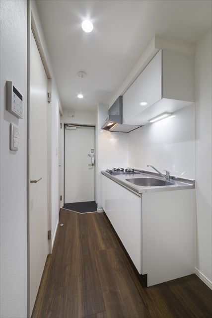 Ｐｌａｔｉｎｕｍ　Ｃｏｕｒｔ　ＥａｓｔⅡ3階 システムキッチン