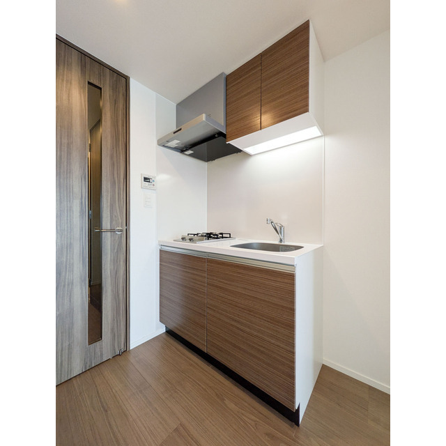 オーパスホームズ南行徳1416号室 玄関