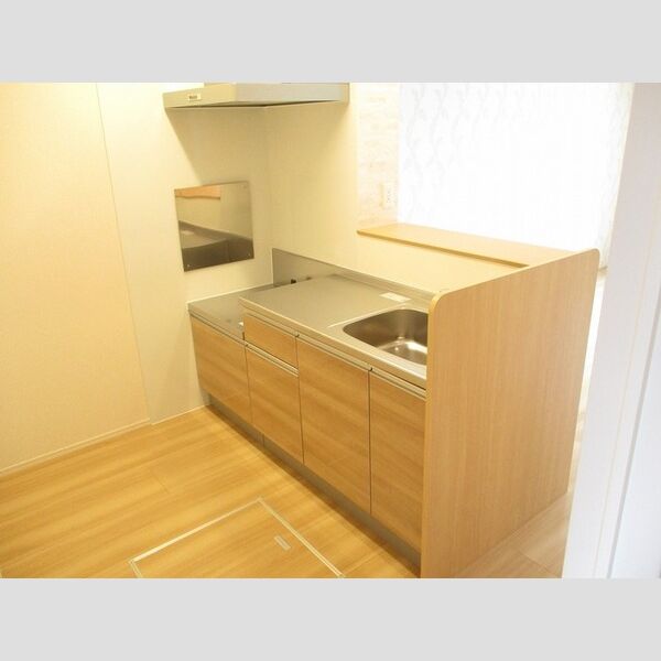 アイガーデン102号室 キッチン