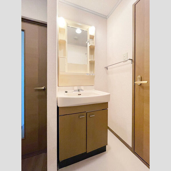 ピアエスポワール203号室 洗面台