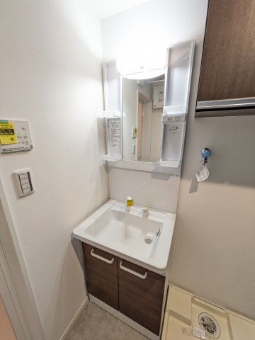 ベイルーム平間302号室 洗面