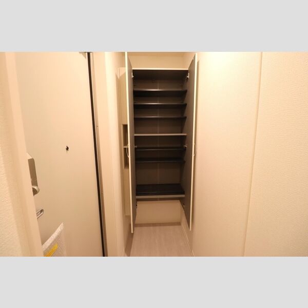 セレスティア西台B301号室 シューズボックス