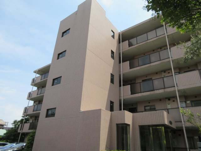 ＣＥＲＥＺＡ　ＳＡＫＡＭＯＴＯ ※現況優先