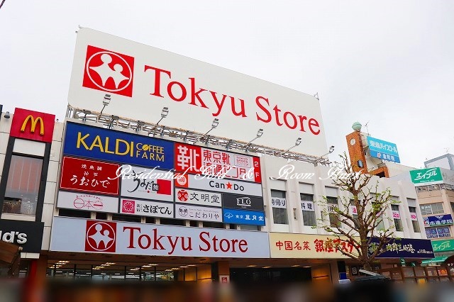 ｂ’ＣＡＳＡ　Ａｙａｓｅ203号室 【スーパー】金町東急ストアまで3973ｍ